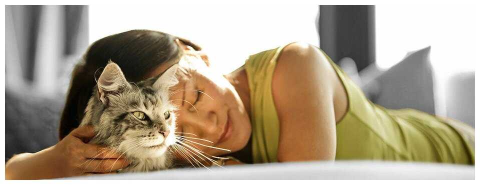 Корм Pro Plan Sterilised OptiRenal (с кроликом) фотография 12