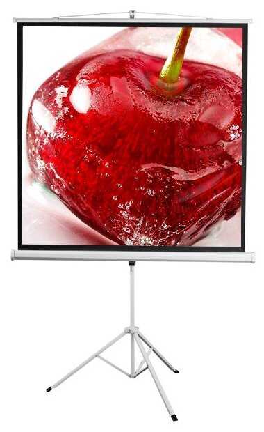 Рулонный Digis KONTUR-D (DSKD-1104) фотография 1