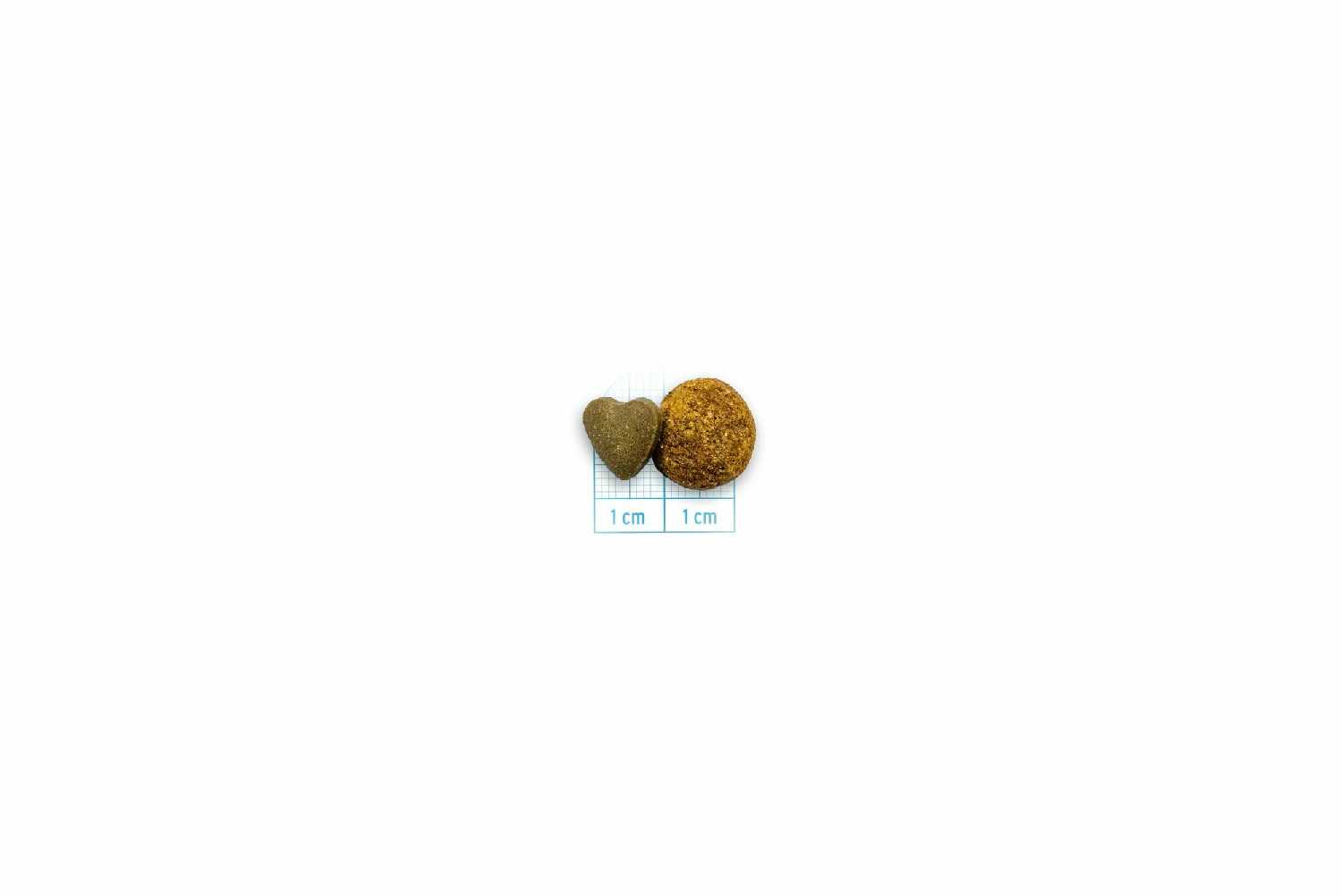 Корм для кошек Forza10 Urinary Active фотография 7