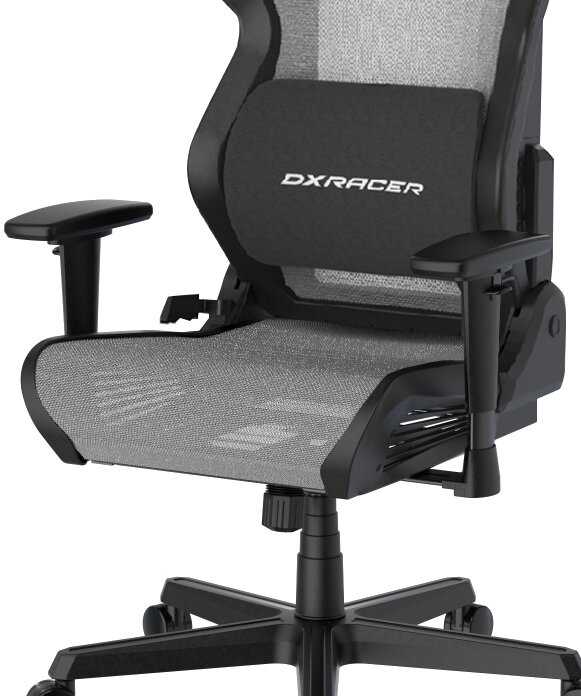 Компьютерное кресло DXRacer Timeless AIR D7100 (R3ES) фотография 10