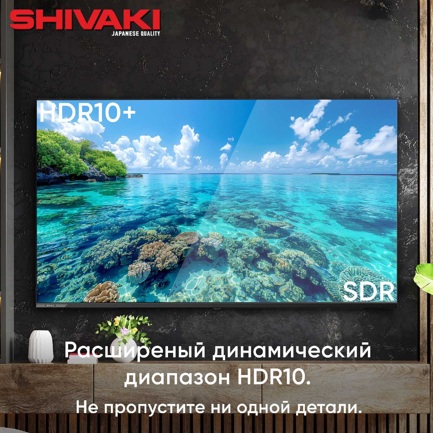 Телевизор SHIVAKI S50QY QLED фотография 24