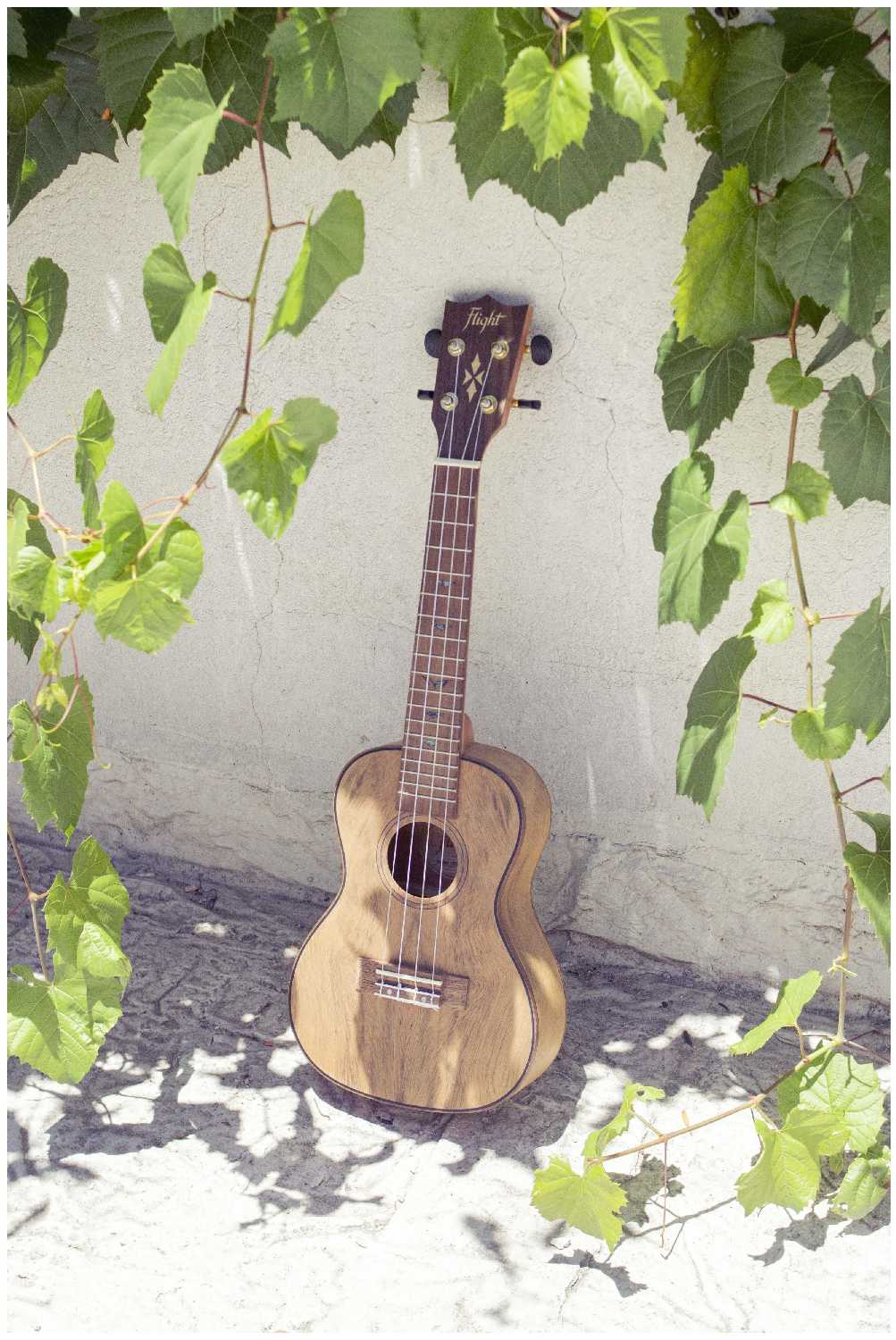 FLIGHT DUC430 DAO Укулеле концерт фотография 3
