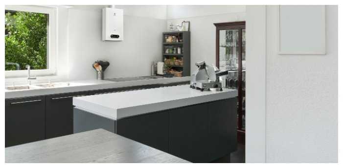 Проточный газовый водонагреватель Electrolux GWH 10 NanoPlus 2.0 фотография 2