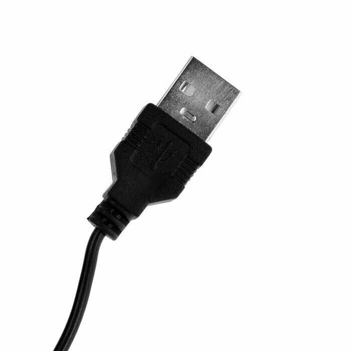 ORION фотография 19