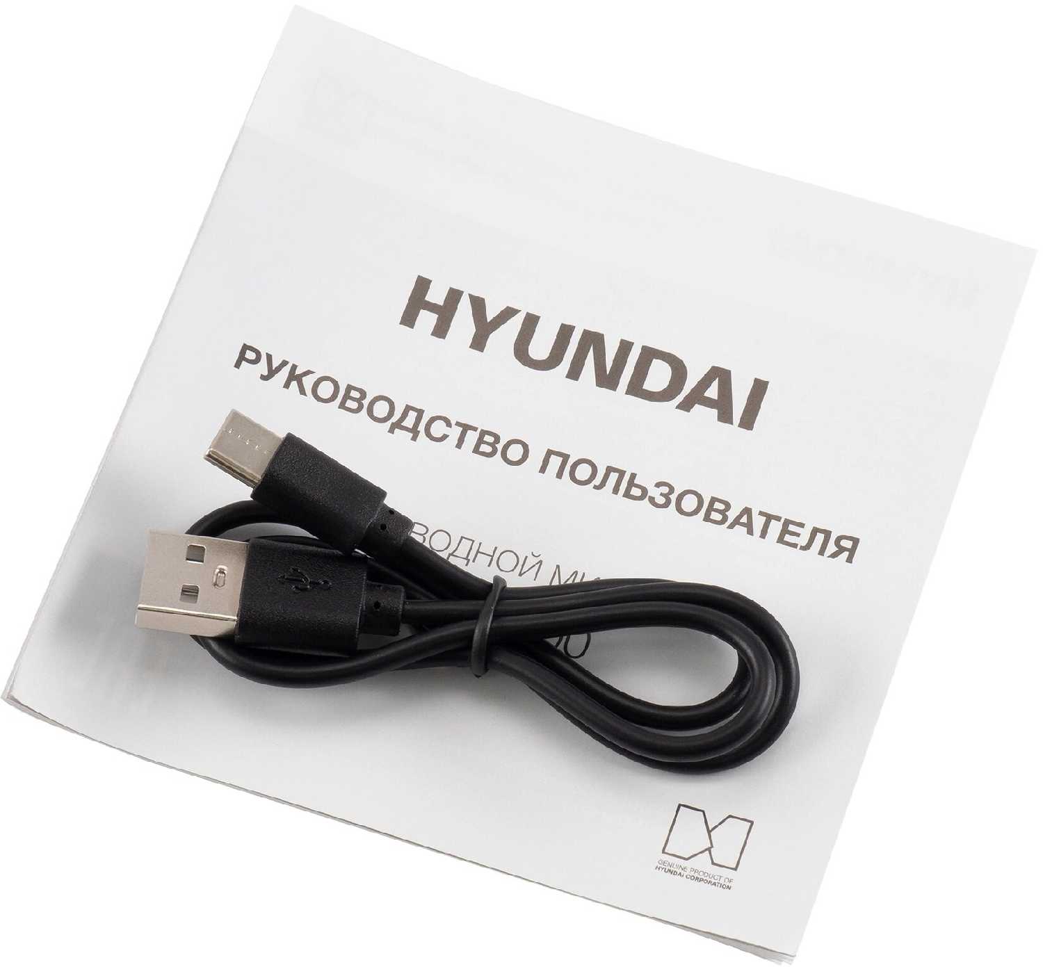Микрофон беспроводной Hyundai H-MIC100 фотография 3