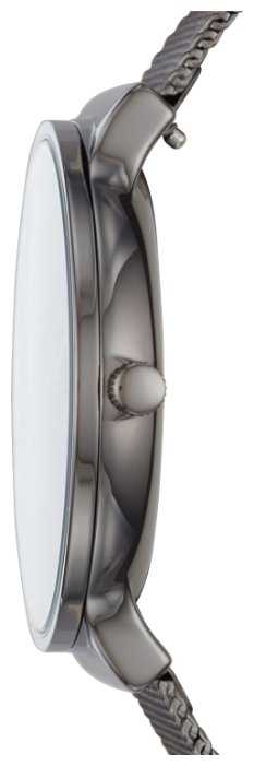 Наручные часы SKAGEN SKW6432 фотография 2