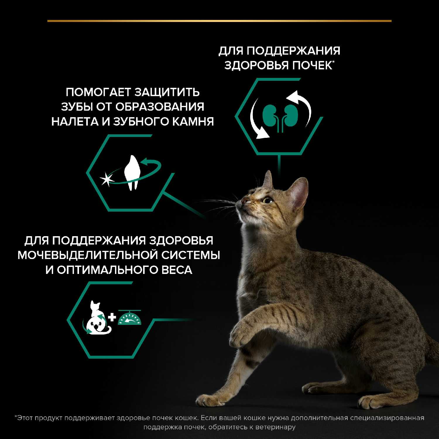Корм для кошек Pro Plan Sterilised Adult Renal Plus с лососем фотография 3