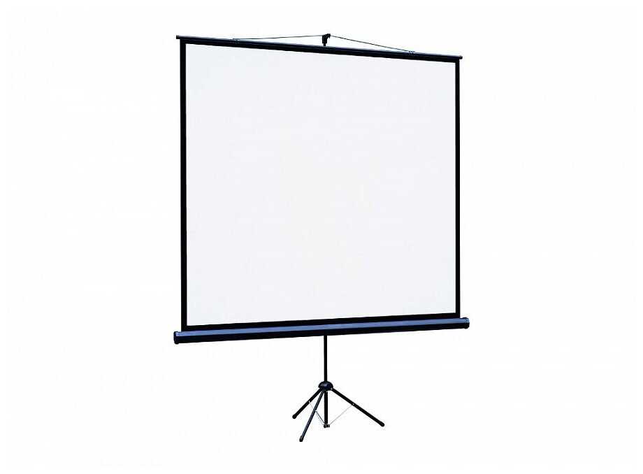 Экран для проектора Lumien Eco View (LEV-100104) фотография 3