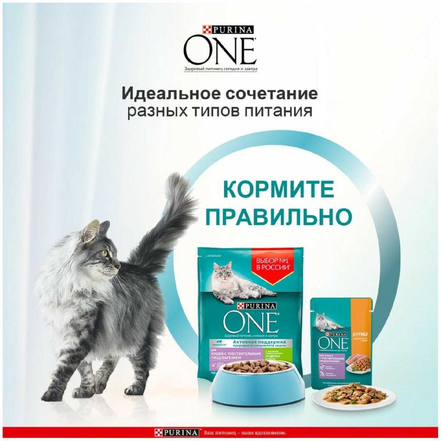 Корм для кошек Purina ONE (при чувствительном пищеварении) фотография 14