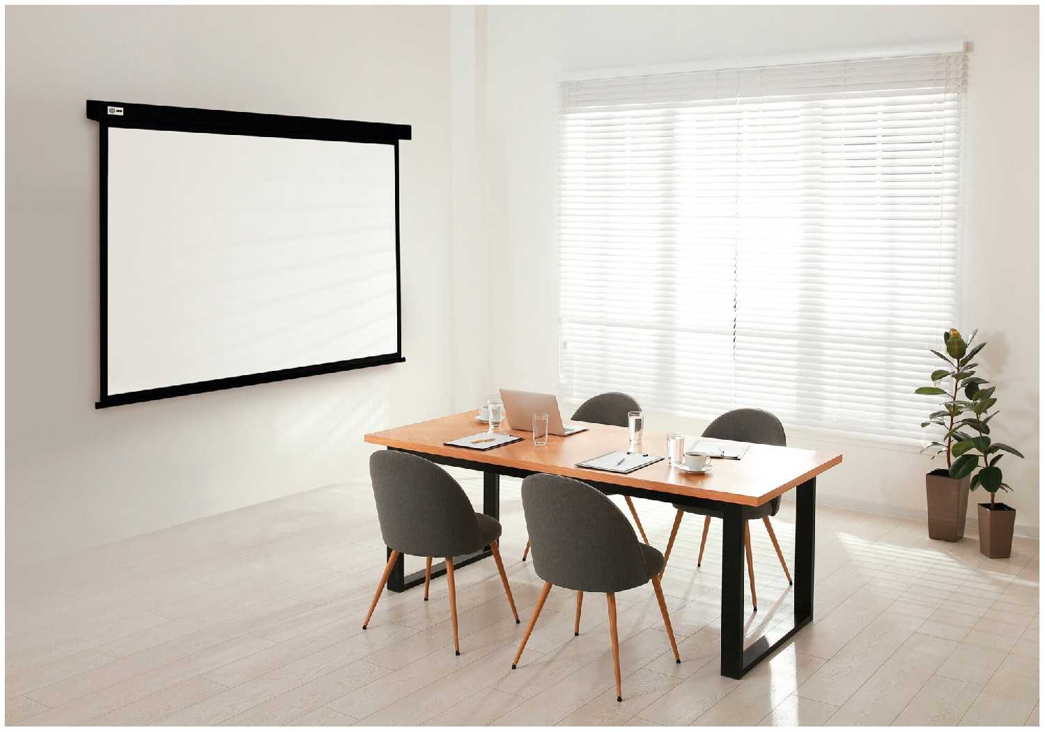 Рулонный cactus Wallscreen (CS-PSW-168X299) фотография 4