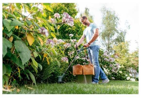 Π’ΡΠΈΠΌΠΌΠ΅Ρ ΡΠ»Π΅ΠΊΡΡΠΈΡΠ΅ΡΠΊΠΈΠΉ BOSCH EasyGrassCut 23 (0.600.8C1.H00) ΡΠΎΡΠΎΠ³ΡΠ°ΡΠΈΡ 5