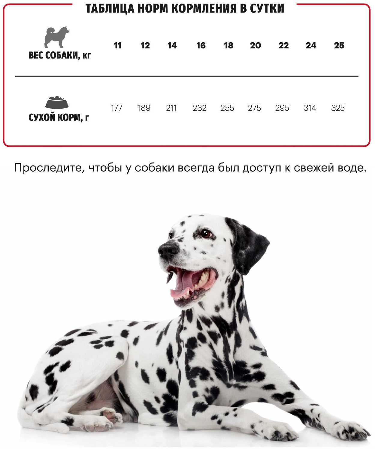 Корм для собак Karmy Medium Adult (индейка) фотография 19