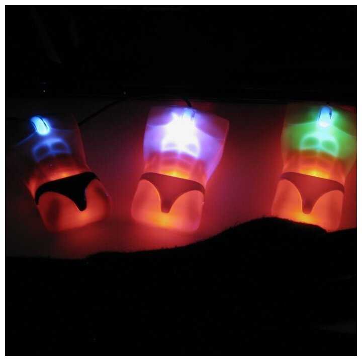 Мышь фотография 1