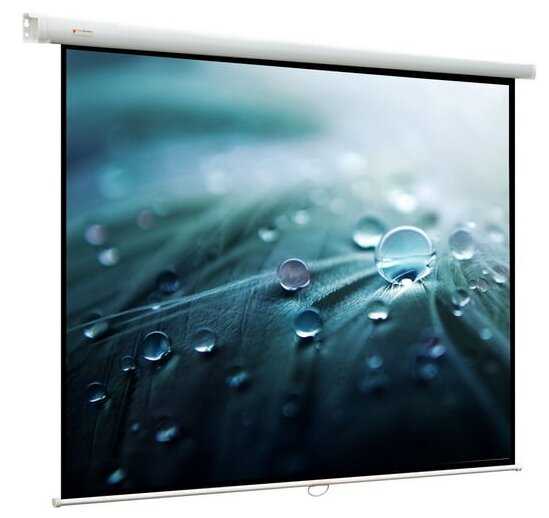 Рулонный матовый белый экран ViewScreen Lotus WLO-16905