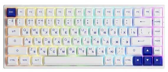 Игровая Клавиатура AKKO 3084B Plus 3 Modes RGB Hot Swap ASA profile Русская раскладка фотография 3