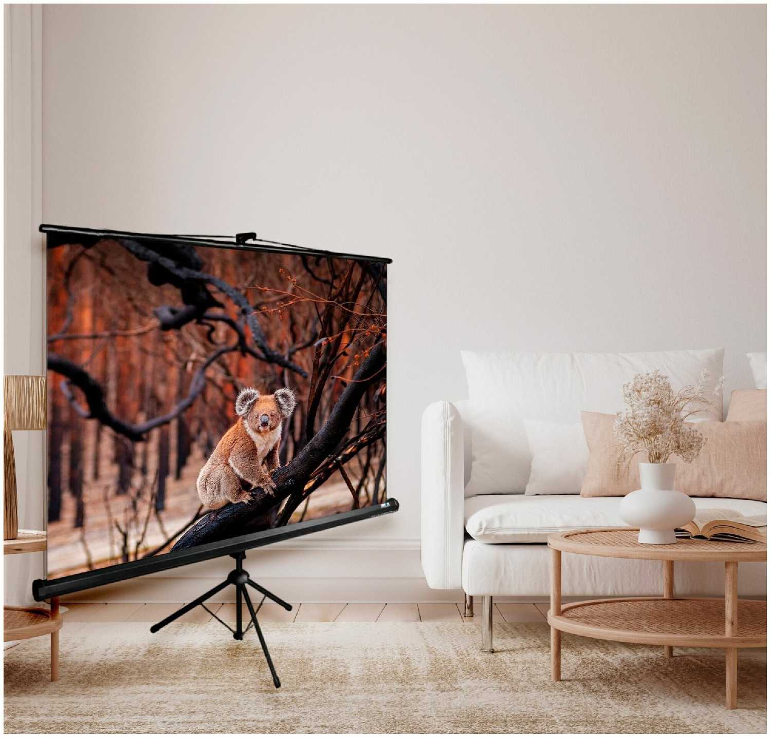 Рулонный cactus TriExpert (CS-PSTE-180x180-BK) фотография 2