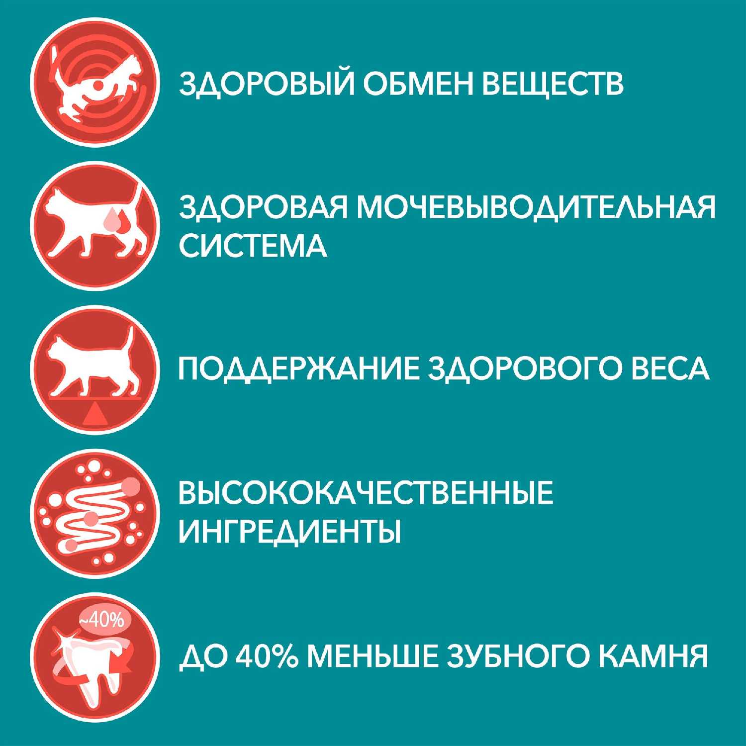 Корм Purina ONE с говядиной и морковью (кусочки в соусе) фотография 15