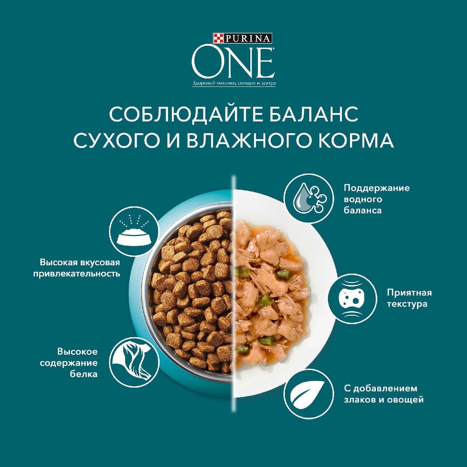 Корм Purina ONE с говядиной и морковью (кусочки в соусе) фотография 16