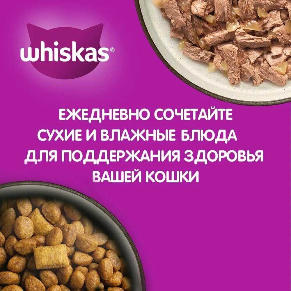 Корм Whiskas с говядиной фотография 5