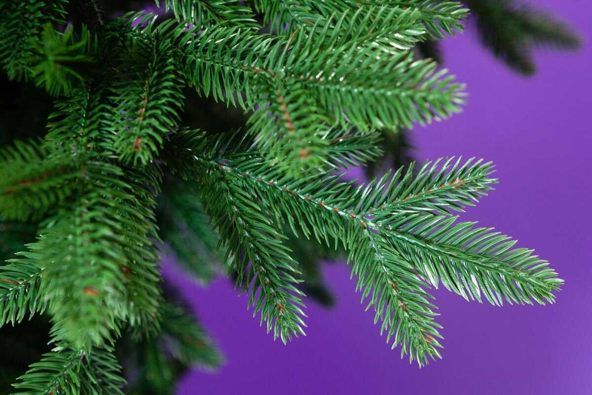 Искусственная елка новогодняя Литая Crystal Trees зимняя самба (180 см) фотография 2