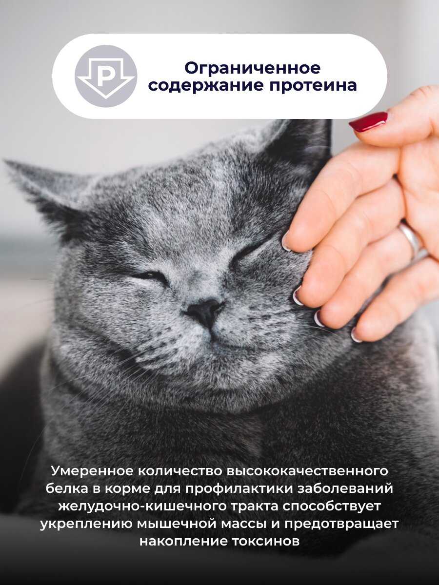 Preventive diet line Jarvi Urinary пауч для кошек (соус) фотография 4