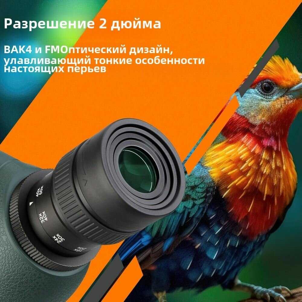 Зрительная труба SVBONY SV406P 20-60X80 ED фотография 20