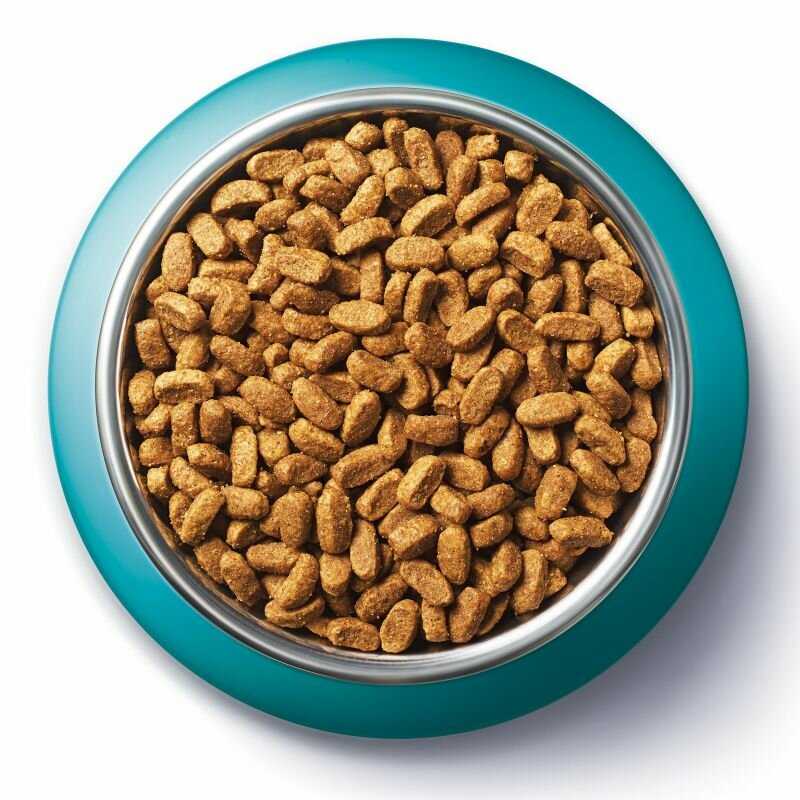 Корм для кошек Purina ONE с чувствительным пищеварением и разборчивым вкусом в еде фотография 14