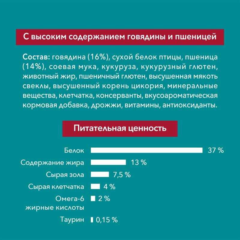 Корм для кошек Purina ONE с чувствительным пищеварением и разборчивым вкусом в еде фотография 15