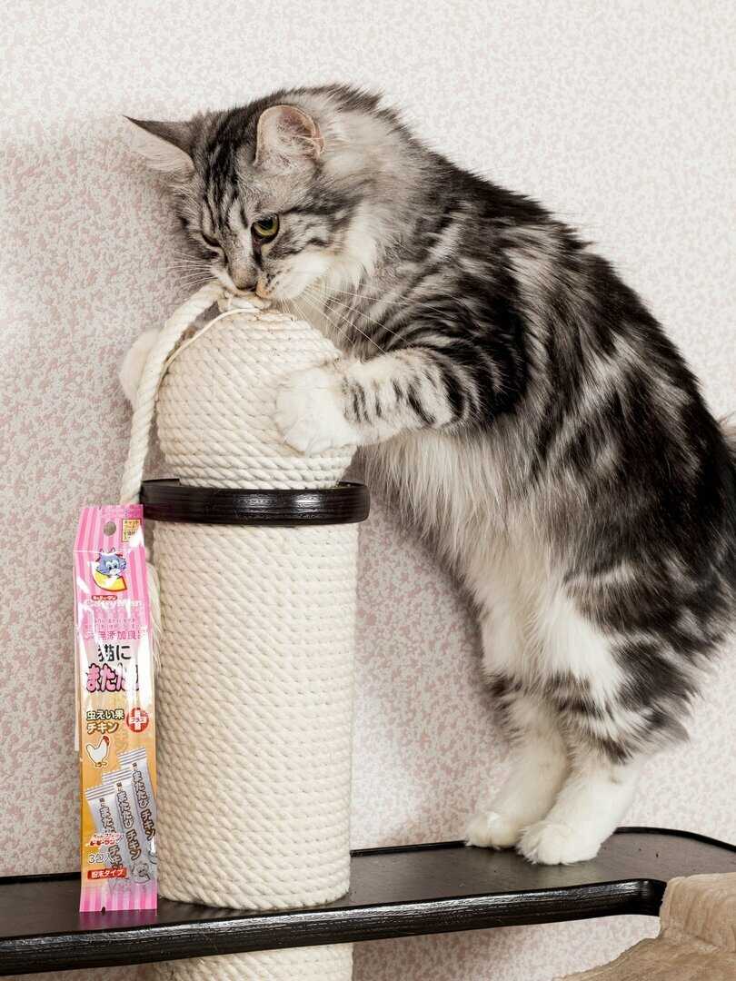 Japan Мататаби Premium Pet с экстрактом японского цыпленка (3 шт х 0,5г) фотография 4