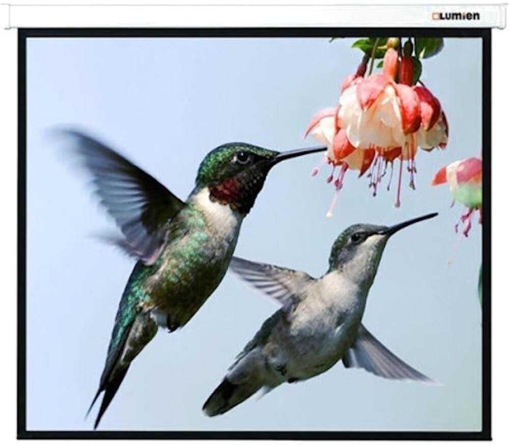 Рулонный Lumien Master Picture (LMP-100116) фотография 2