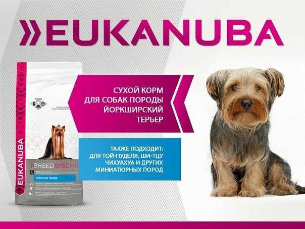 Корм для собак Eukanuba Breed Specific (Йоркширский терьер) фотография 8