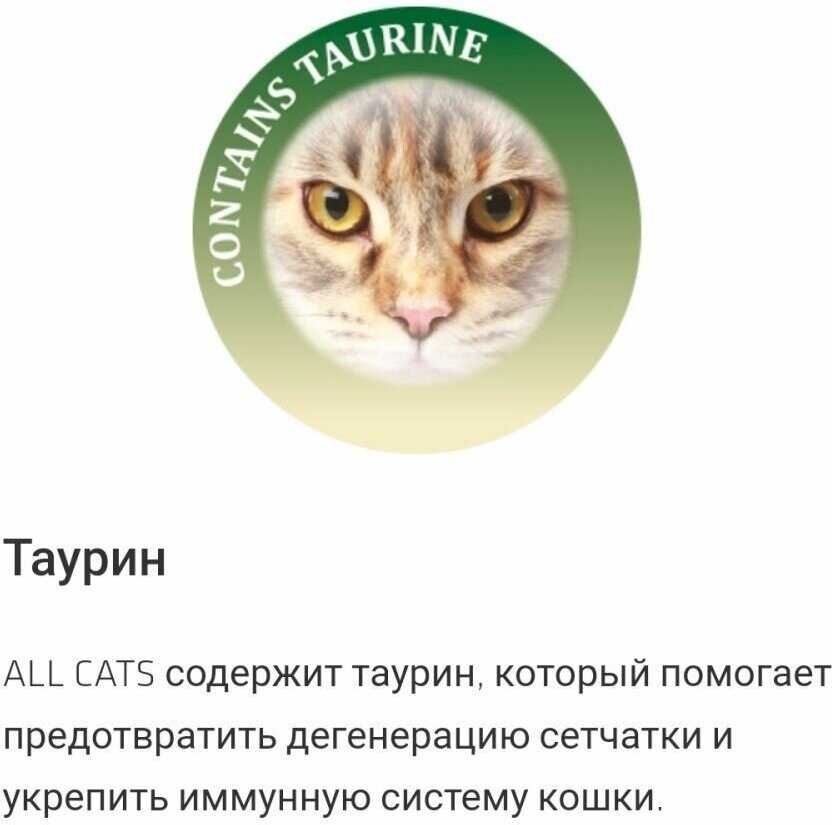 Корм для кошек ALL CATS с говядиной, с овощами фотография 4