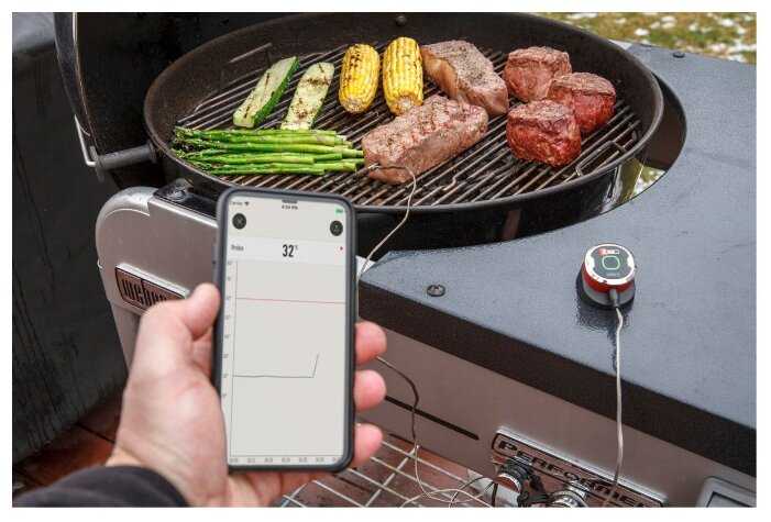 Термометр со щупом Weber iGrill Mini 7220 фотография 9