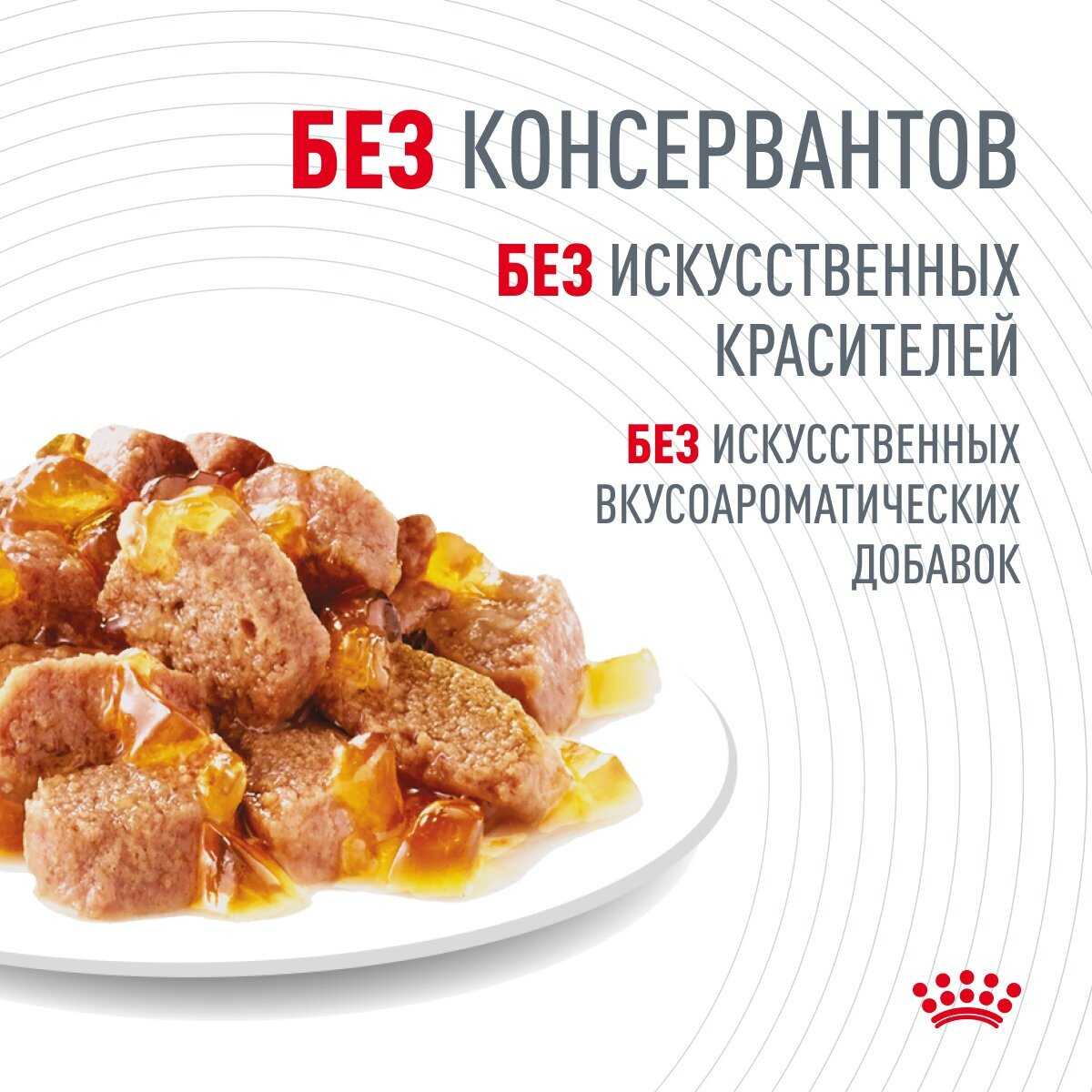 Влажный корм Royal Canin Hair&Skin (85 гр) фотография 5