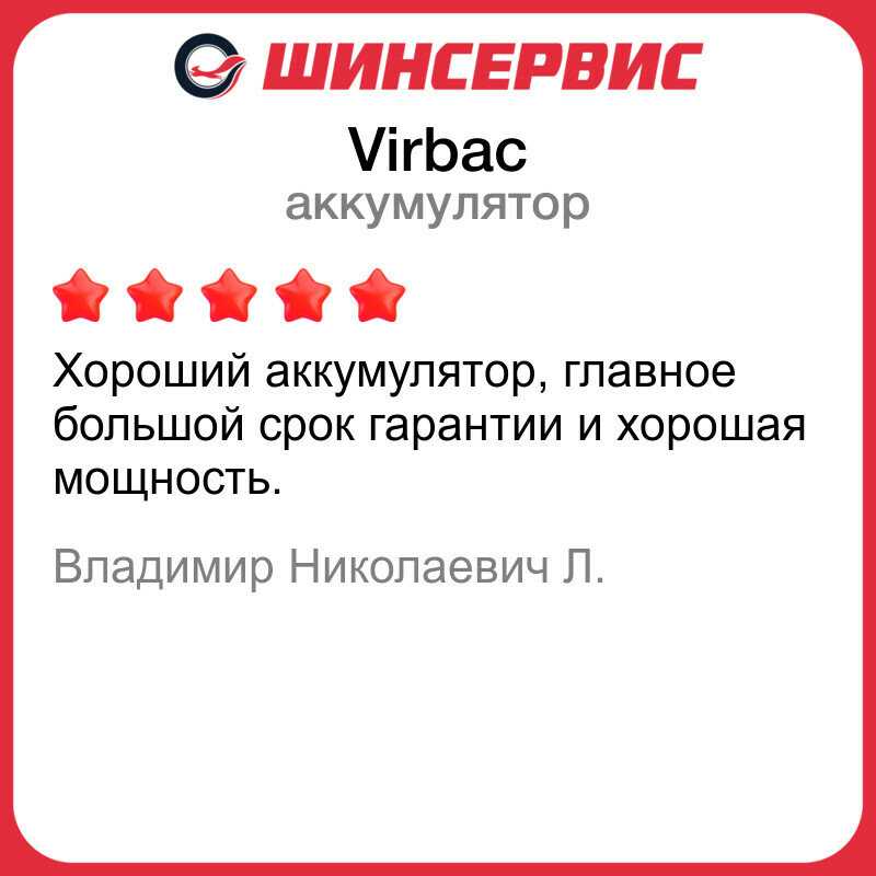 Автомобильный аккумулятор Virbac Asia 95 Ач (930 А) фотография 2