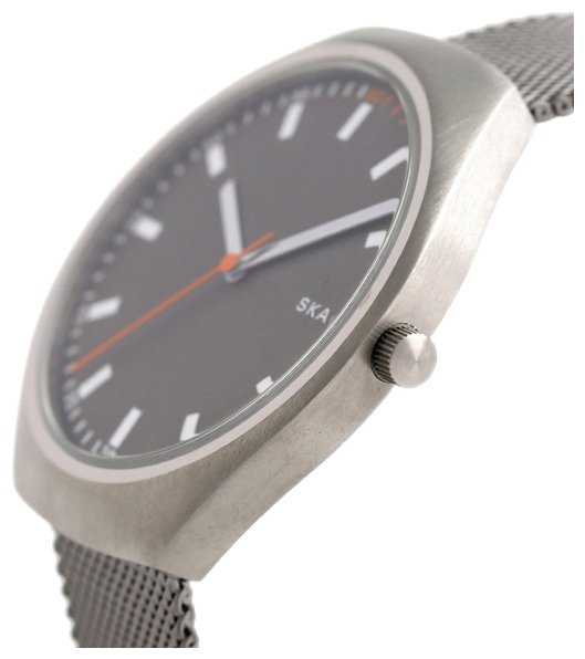 Наручные часы SKAGEN SKW6387 фотография 2