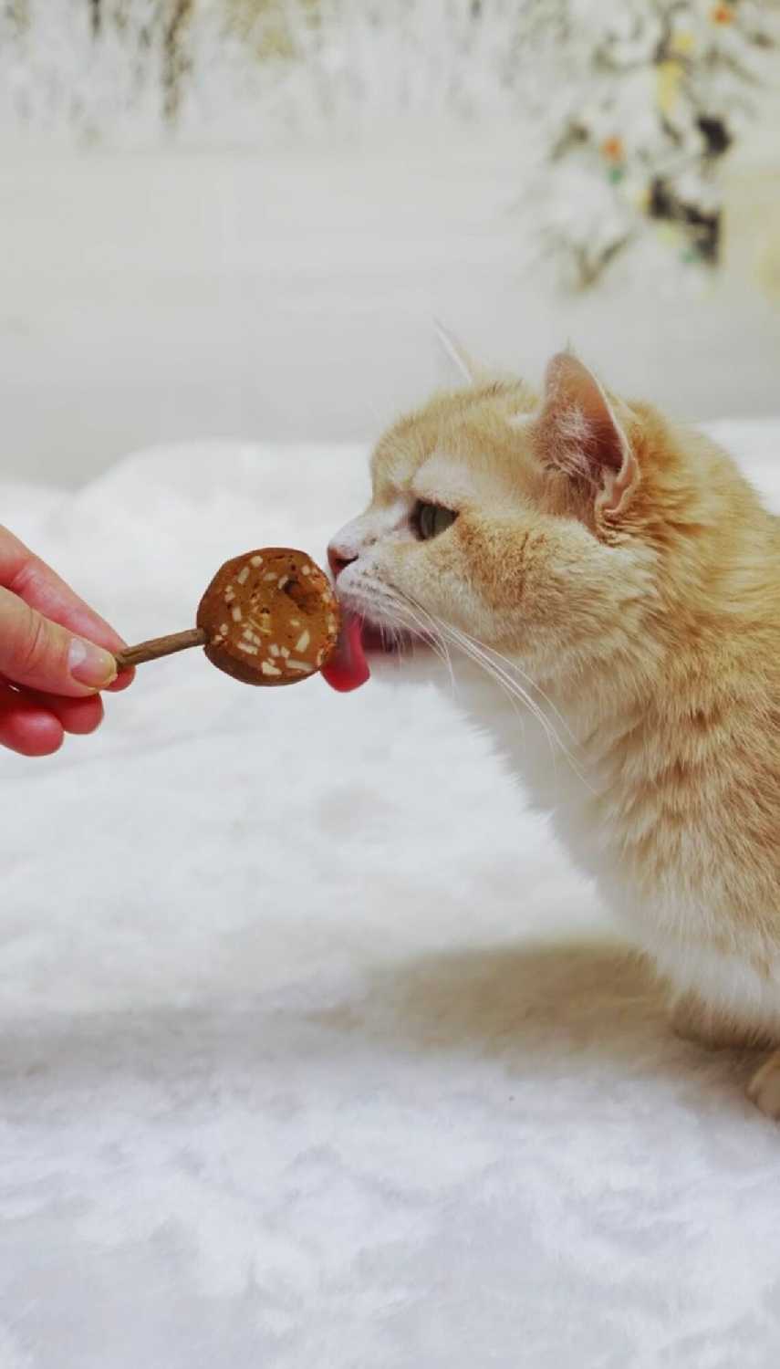 Лакомство для кошек Japan Premium Pet Тунцовая карамелька на палочке с крабом фотография 7