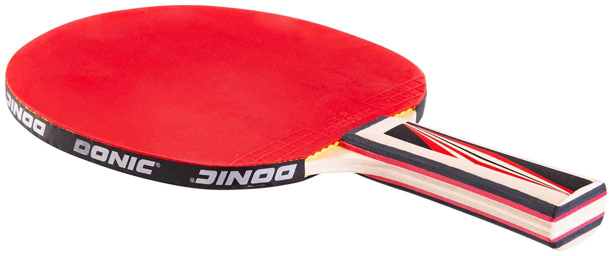 Ракетки для настольного тенниса Donic Top Team 600 фотография 1
