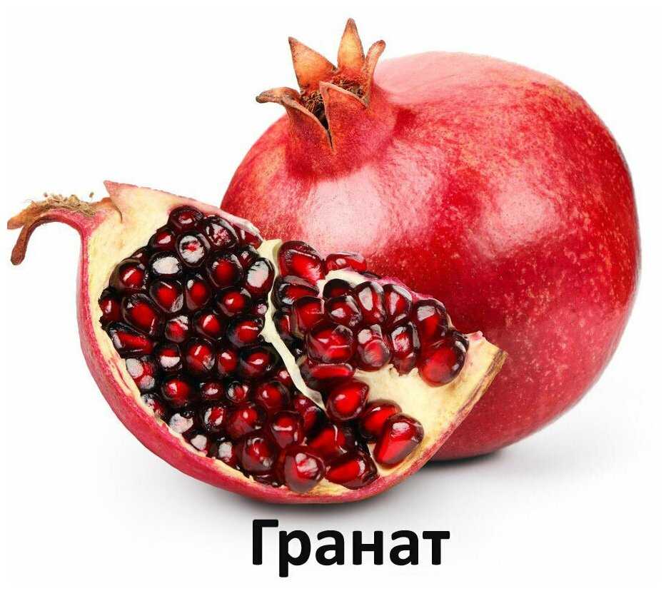 Корм для щенков Farmina (для средних и крупных пород) фотография 8