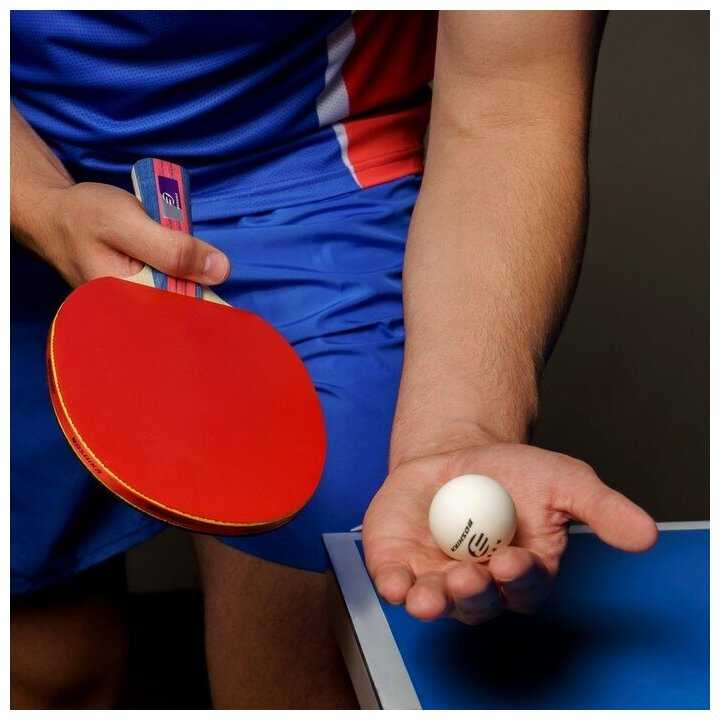 Ракетки для настольного тенниса BOSHIKA Control 9 (7343336) фотография 7