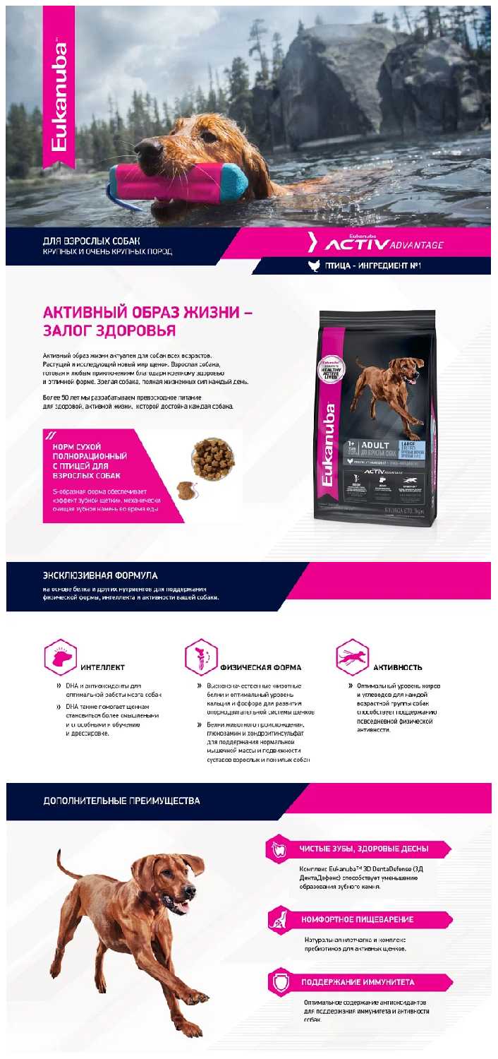 Корм для взрослых собак Eukanuba с курицей фотография 12