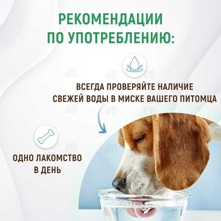 Лакомство для собак Зубочистики Мятные с хлорофиллом для малых пород фотография 5