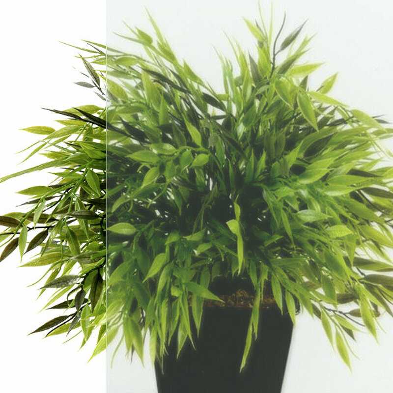 Душевой уголок Triton Вента-Хром (Щ0000057860) фотография 3