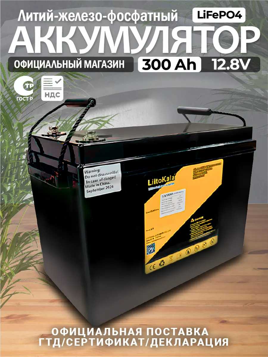 Аккумулятор LiitoKala LiFePO4 (12.8V 100Ah)
