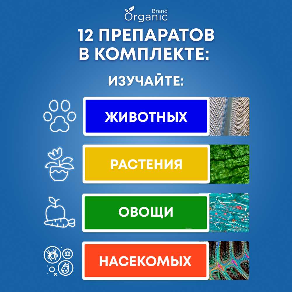 Микроскоп детский школьный с подсветкой фотография 1