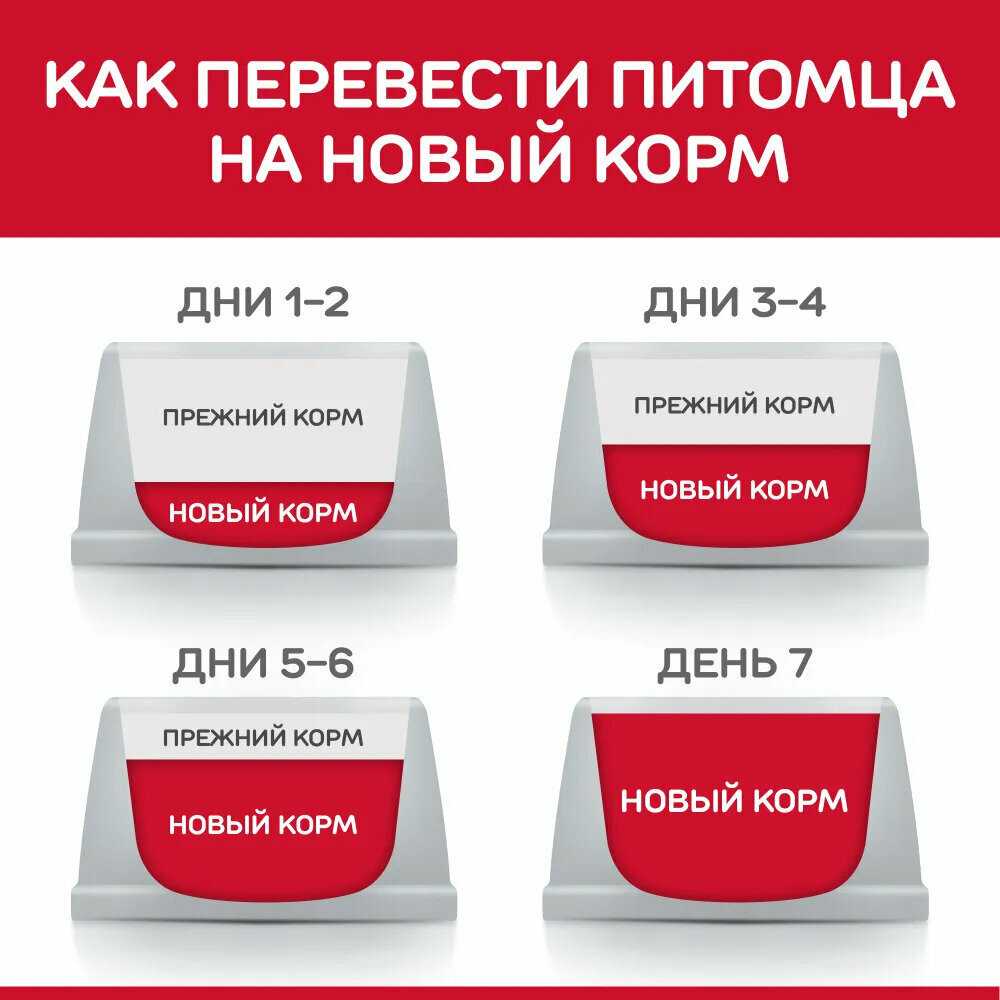 Корм для кошек Hill's Science Plan Perfect Digestion (кусочки в соусе) фотография 5