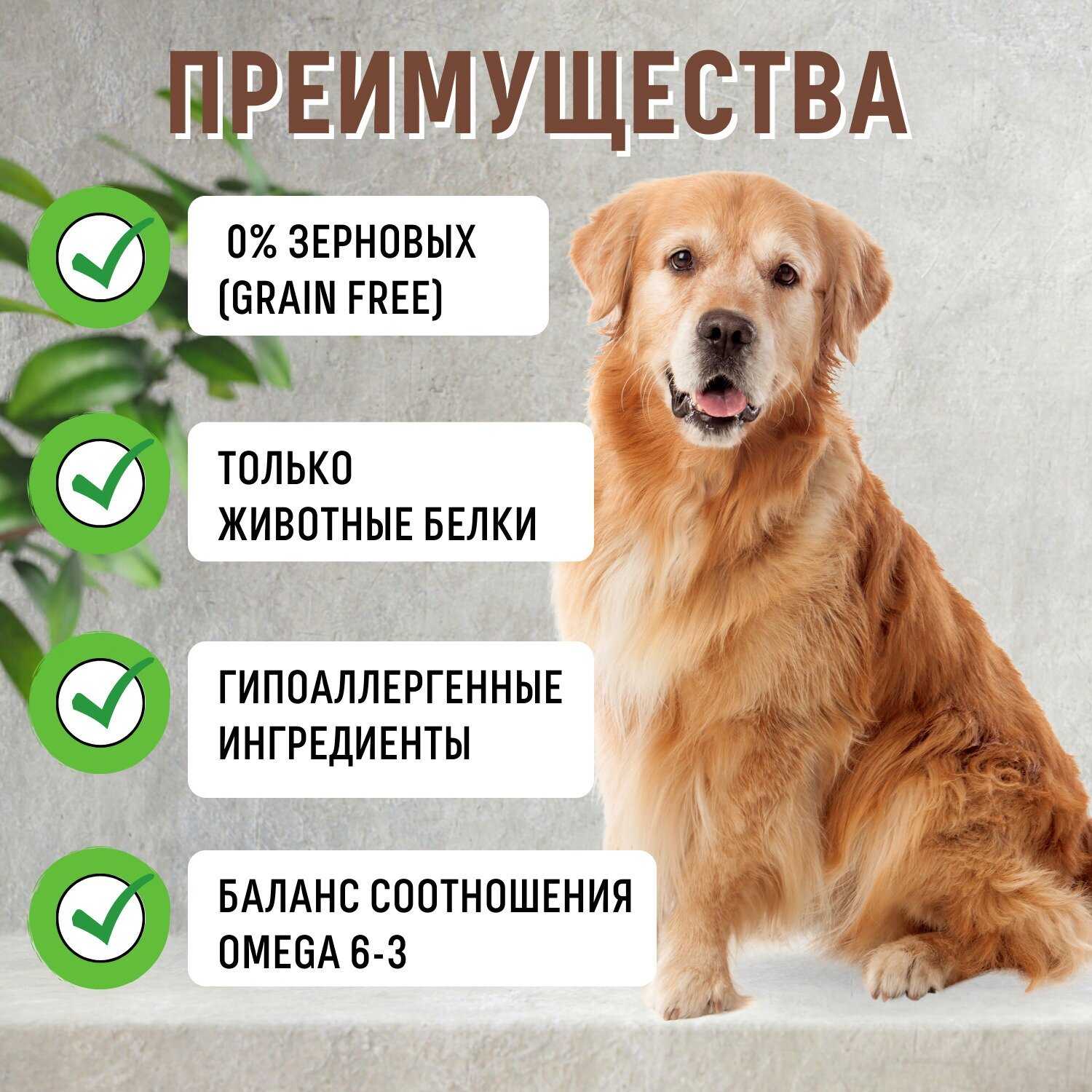 Корм для собак Grandorf беззерновой (утка с индейкой) фотография 15