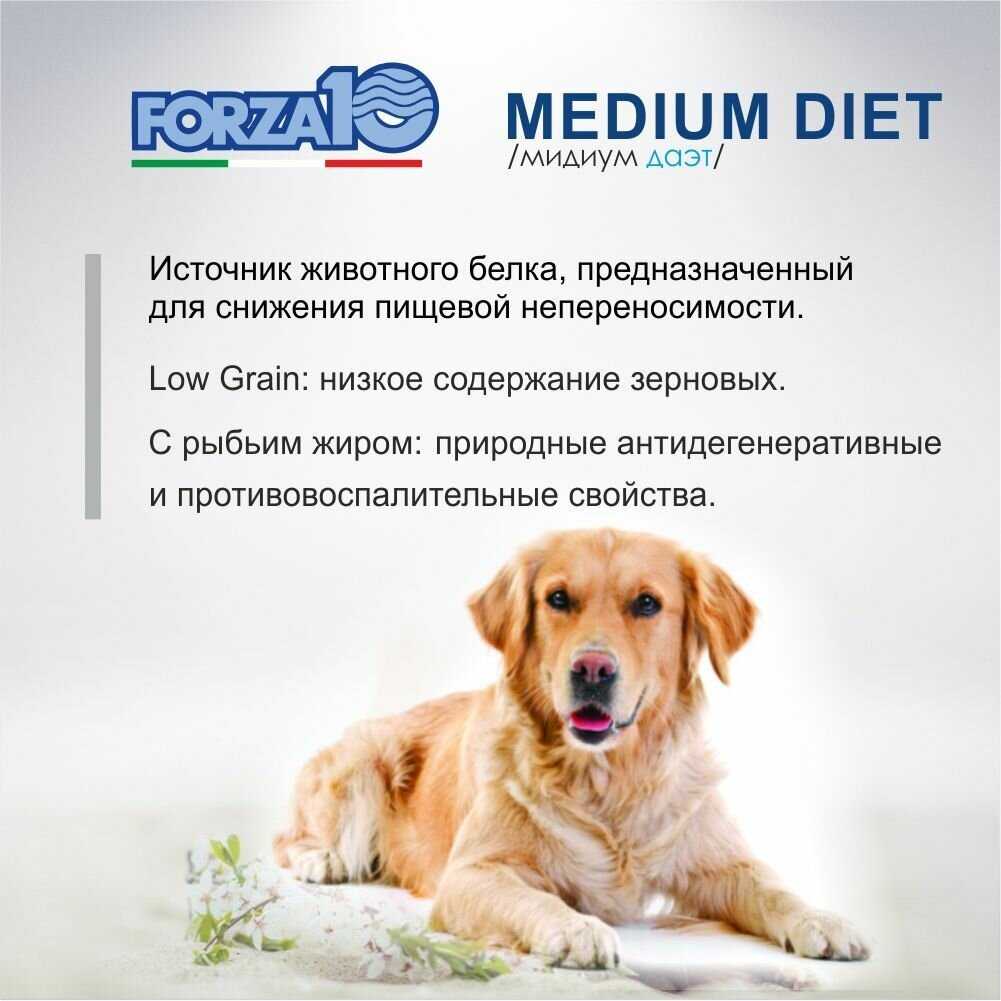 Корм для собак Forza10 свинина, с картофелем фотография 17