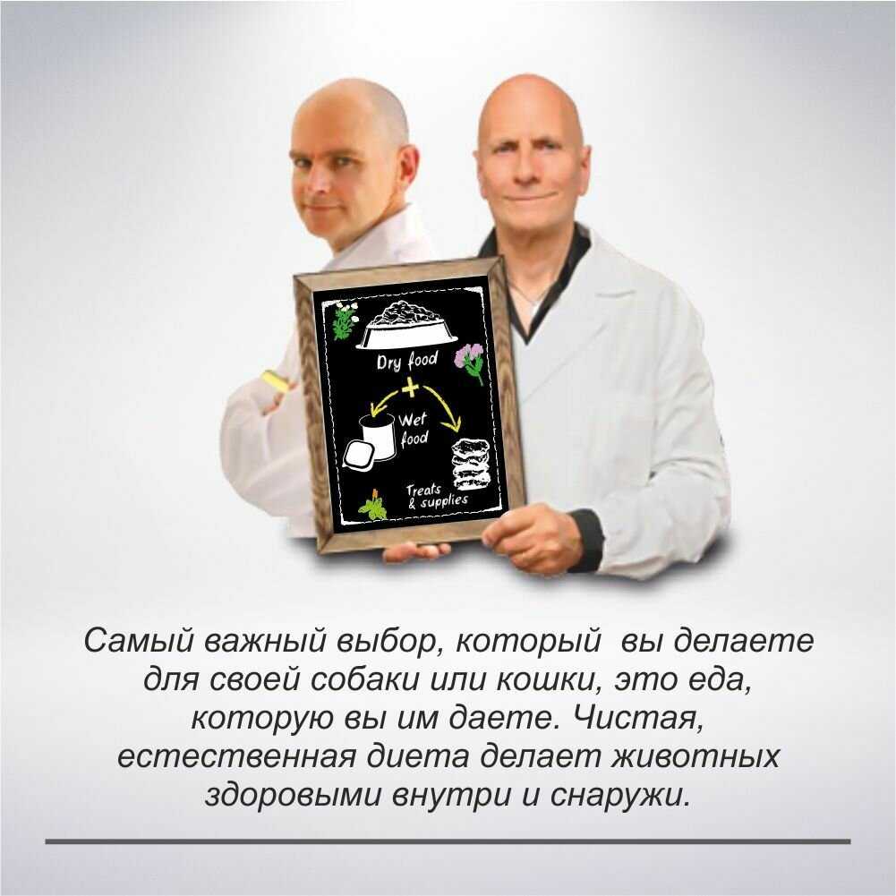 Корм для собак Forza10 свинина, с картофелем фотография 18