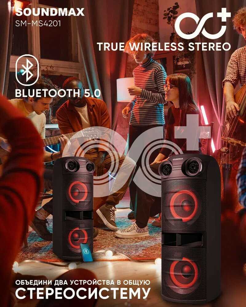 Аудиосистемы SOUNDMAX SM-MS4201 фотография 13